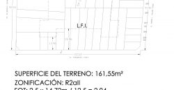 Pergamino 36 [LOTE]